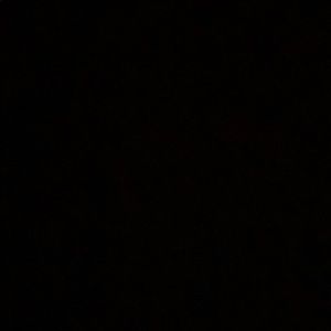 Meet your Posher, Joey